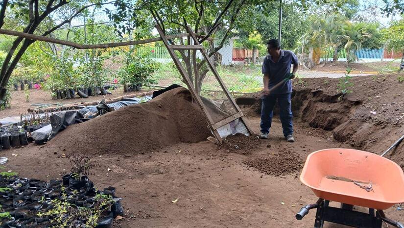 Viveros-en-Nicaragua-7