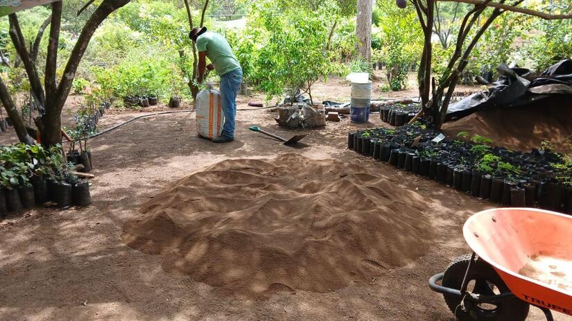 Viveros-en-Nicaragua-8