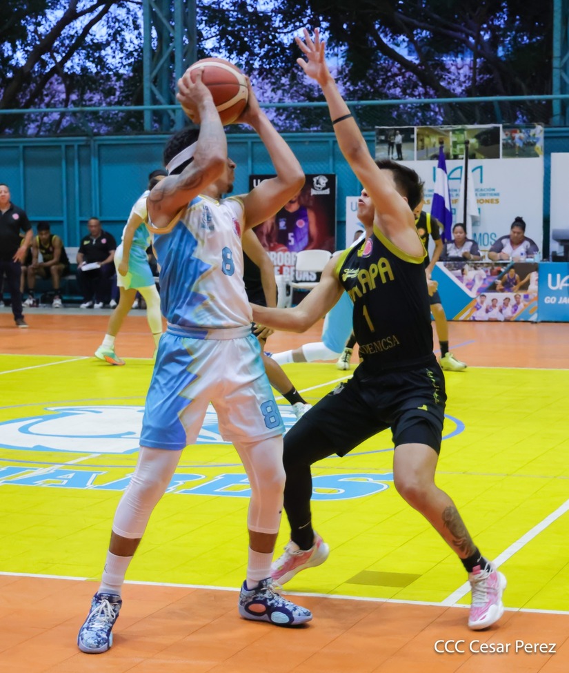BASKET--(1)