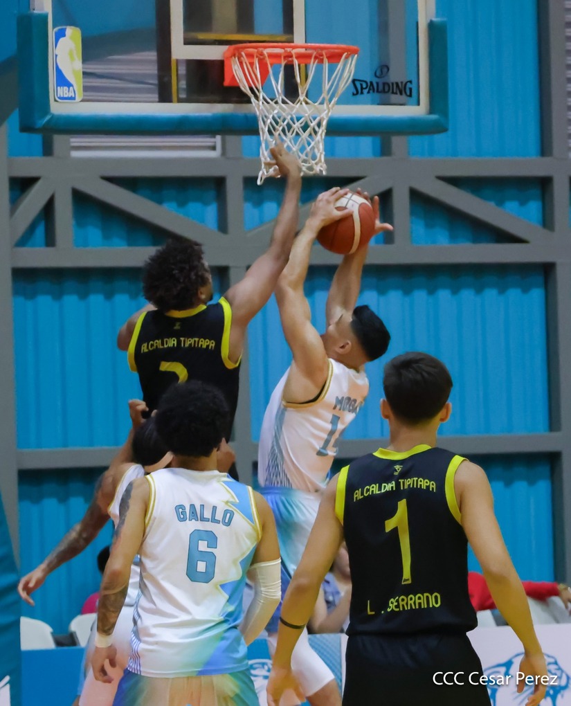 BASKET--(7)
