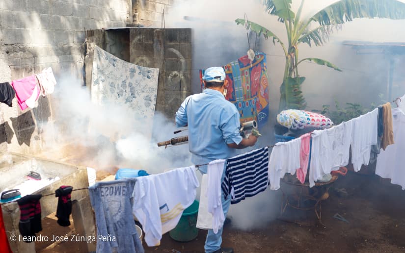fumigacion13