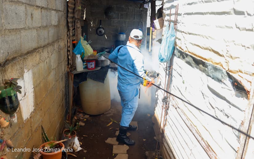 fumigacion2