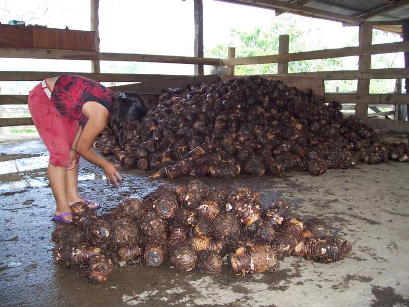 Ministerio-Agropecuario-1