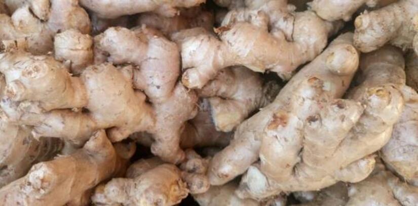 Ministerio-Agropecuario-2