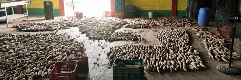 Ministerio-Agropecuario-5