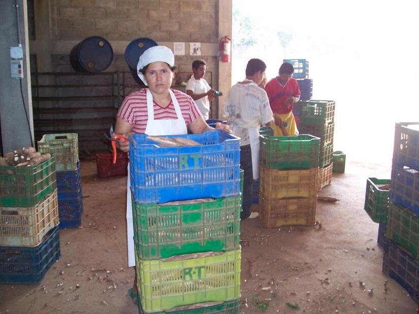 Ministerio-Agropecuario-6