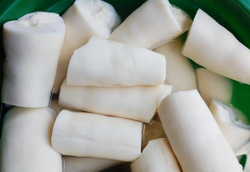 Ministerio-Agropecuario-7