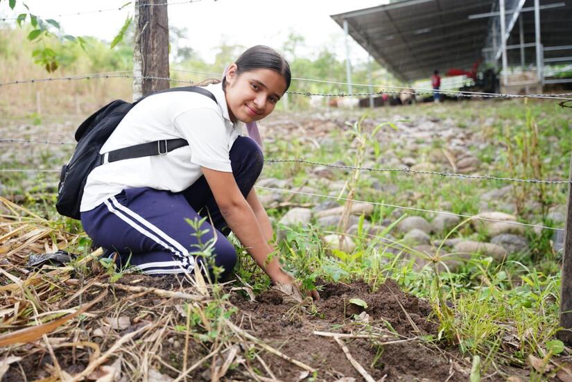 Campana-Verde-que-te-quiero-verde-4