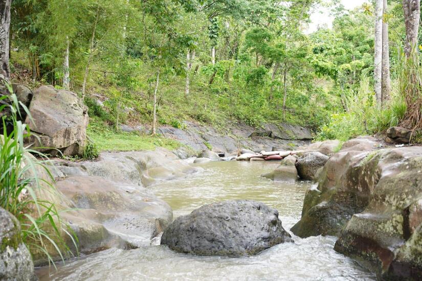 Campana-Verde-que-te-quiero-verde-6