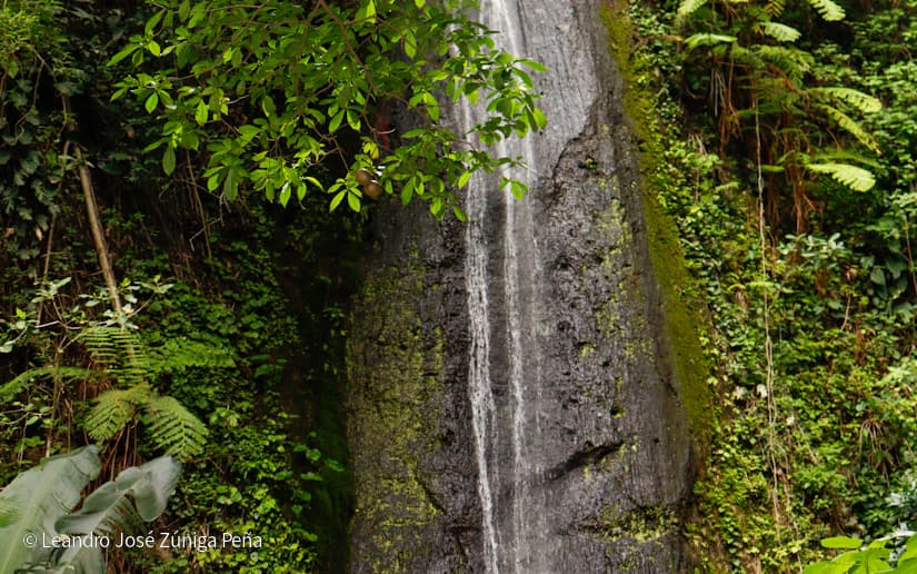 Reserva-Natural-El-Chocoyero-10