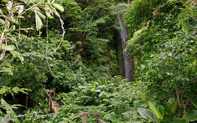 Reserva-Natural-El-Chocoyero-11