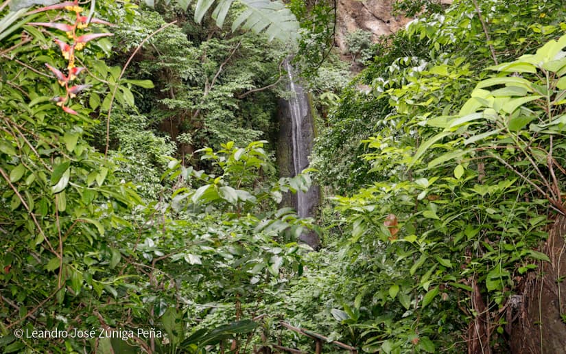 Reserva-Natural-El-Chocoyero-14