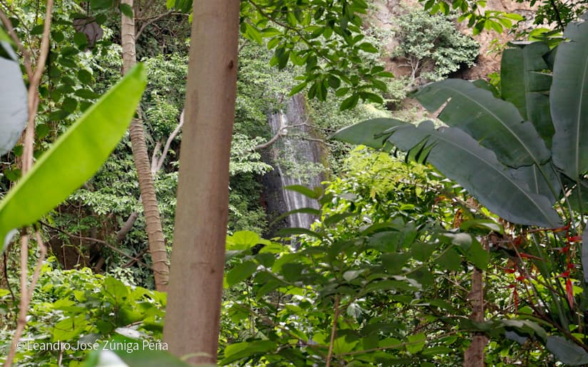 Reserva-Natural-El-Chocoyero-15