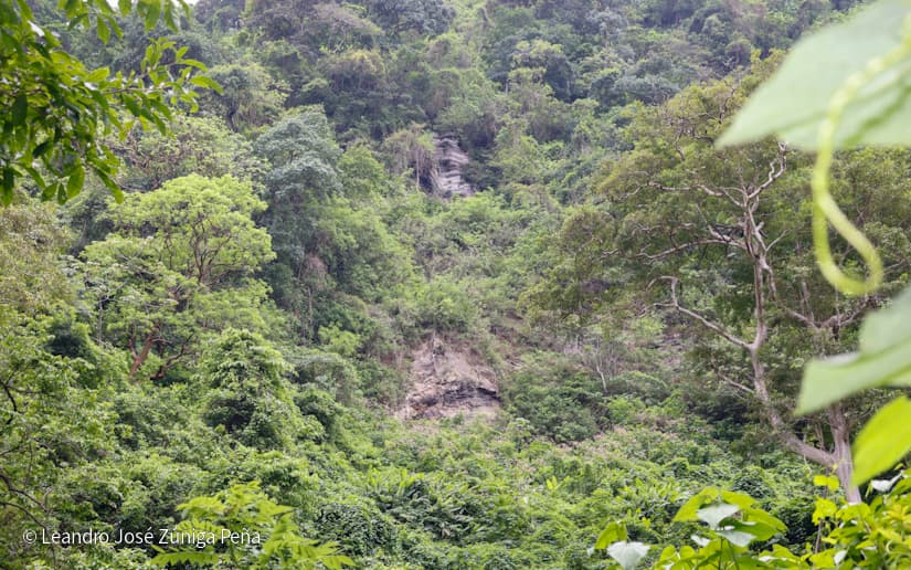 Reserva-Natural-El-Chocoyero-17