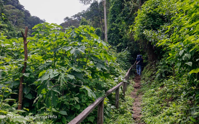 Reserva-Natural-El-Chocoyero-19