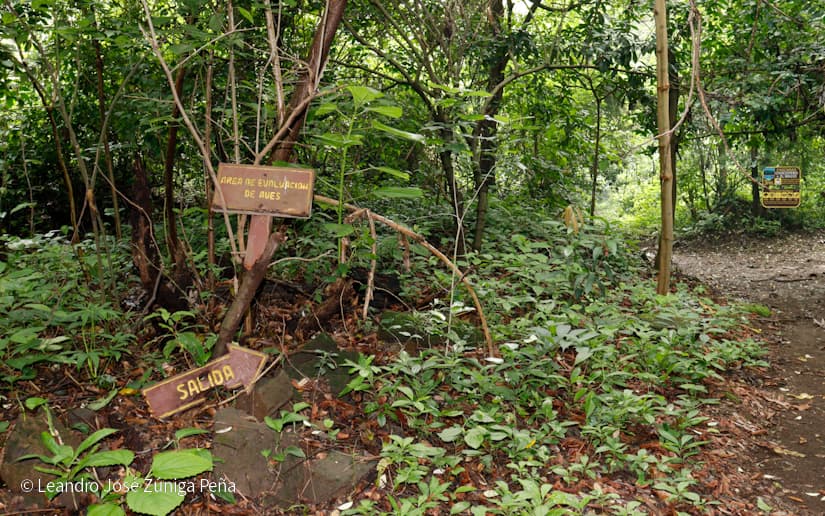 Reserva-Natural-El-Chocoyero-2