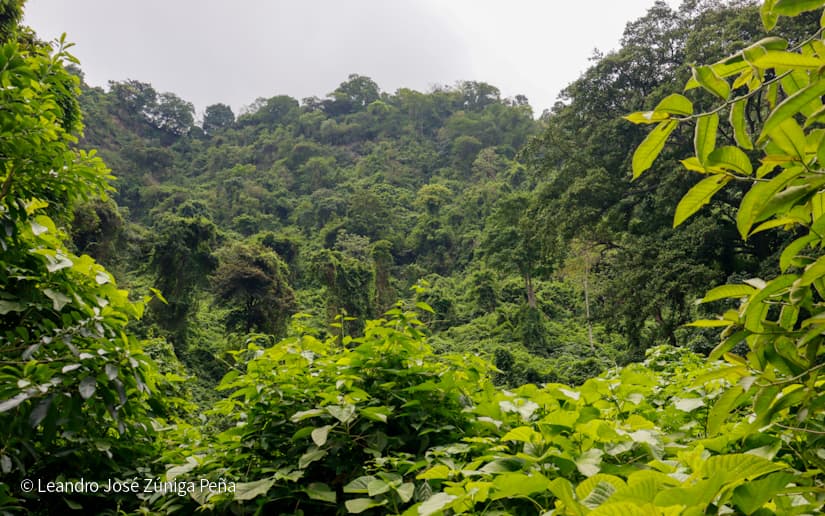 Reserva-Natural-El-Chocoyero-20