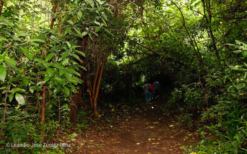 Reserva-Natural-El-Chocoyero-23