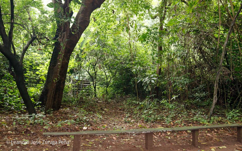 Reserva-Natural-El-Chocoyero-29