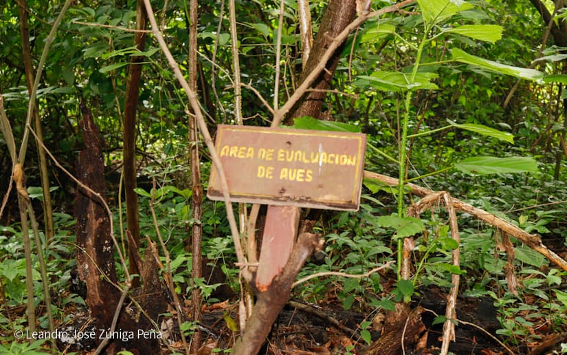 Reserva-Natural-El-Chocoyero-3