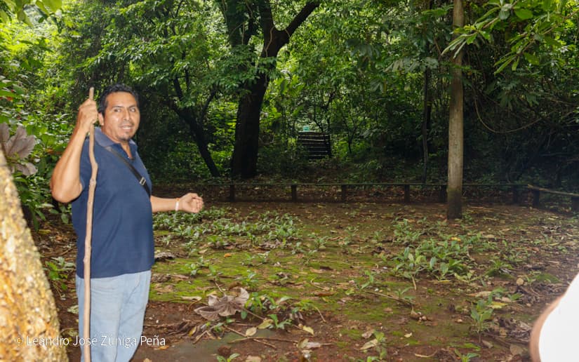 Reserva-Natural-El-Chocoyero-30