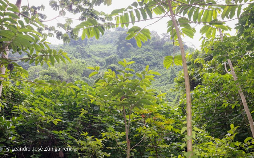 Reserva-Natural-El-Chocoyero-34