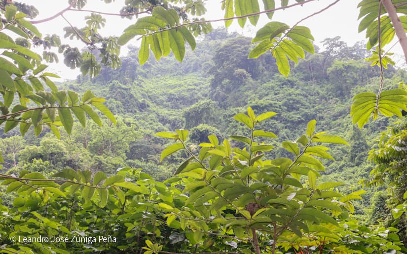 Reserva-Natural-El-Chocoyero-35