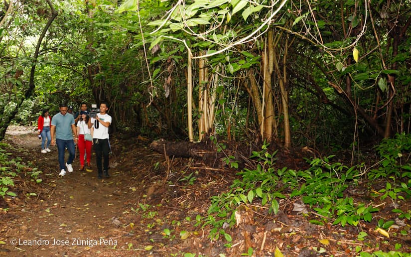 Reserva-Natural-El-Chocoyero-38