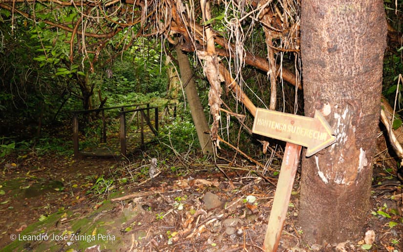 Reserva-Natural-El-Chocoyero-39