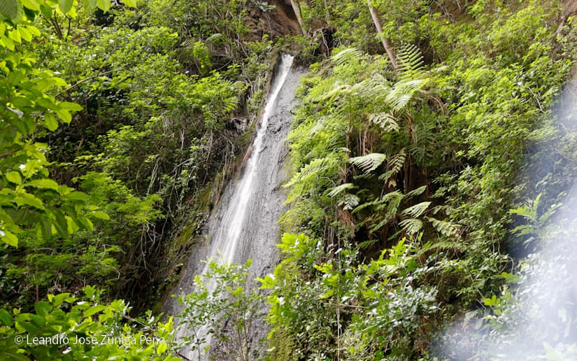 Reserva-Natural-El-Chocoyero-4