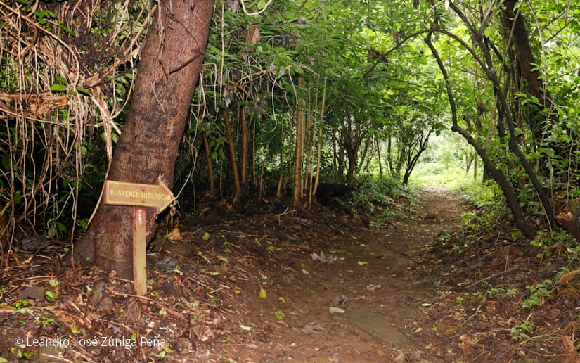 Reserva-Natural-El-Chocoyero-40