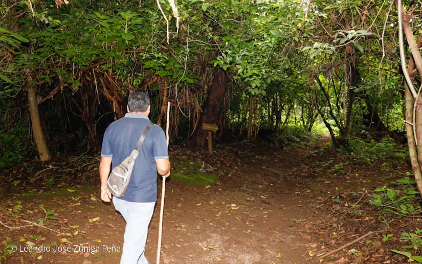 Reserva-Natural-El-Chocoyero-41