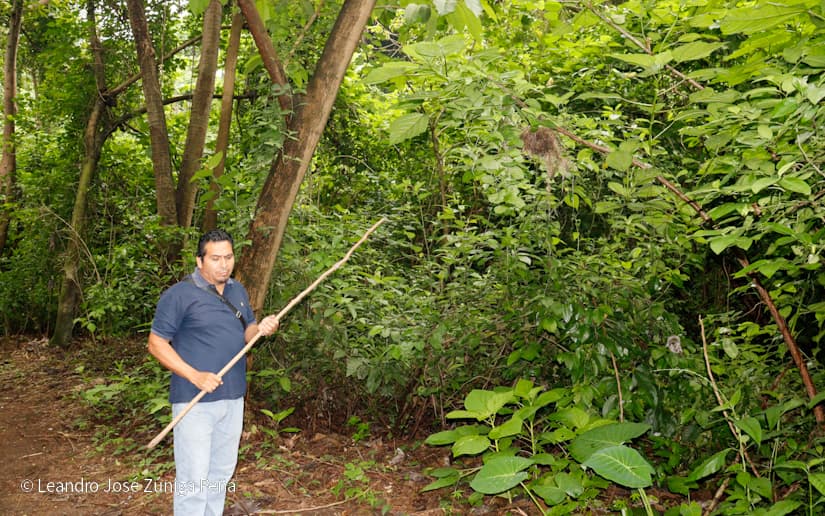 Reserva-Natural-El-Chocoyero-42