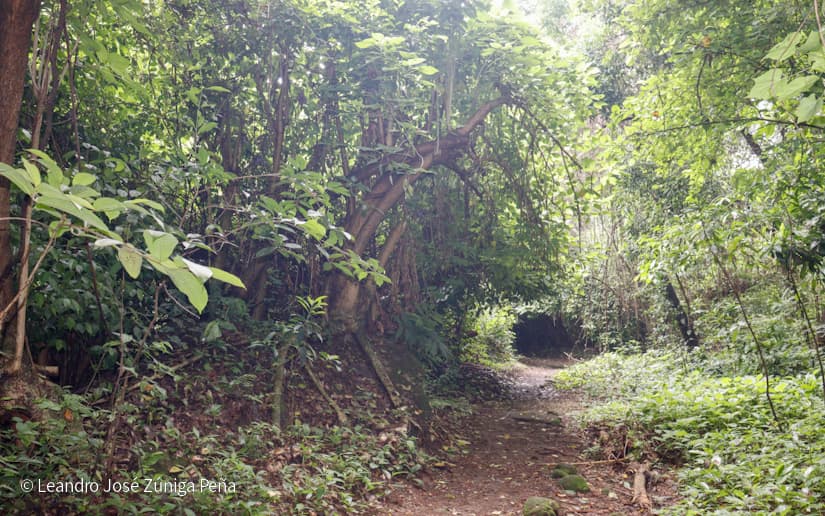 Reserva-Natural-El-Chocoyero-43