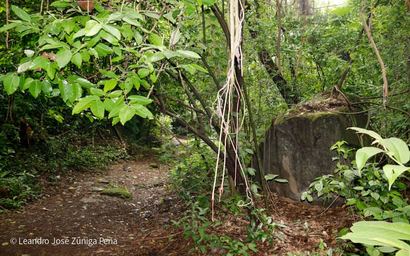 Reserva-Natural-El-Chocoyero-44