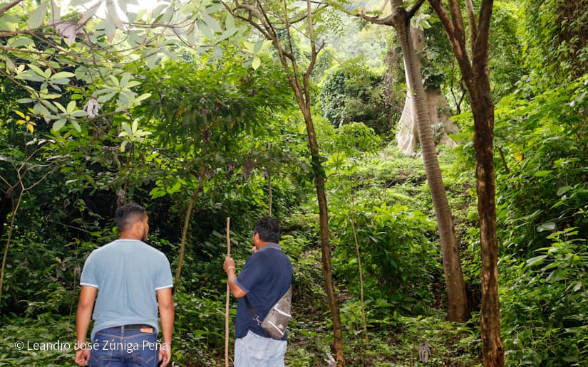 Reserva-Natural-El-Chocoyero-49