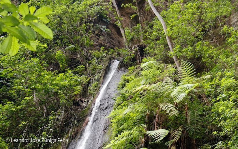Reserva-Natural-El-Chocoyero-5