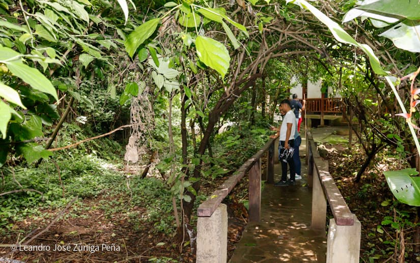 Reserva-Natural-El-Chocoyero-50