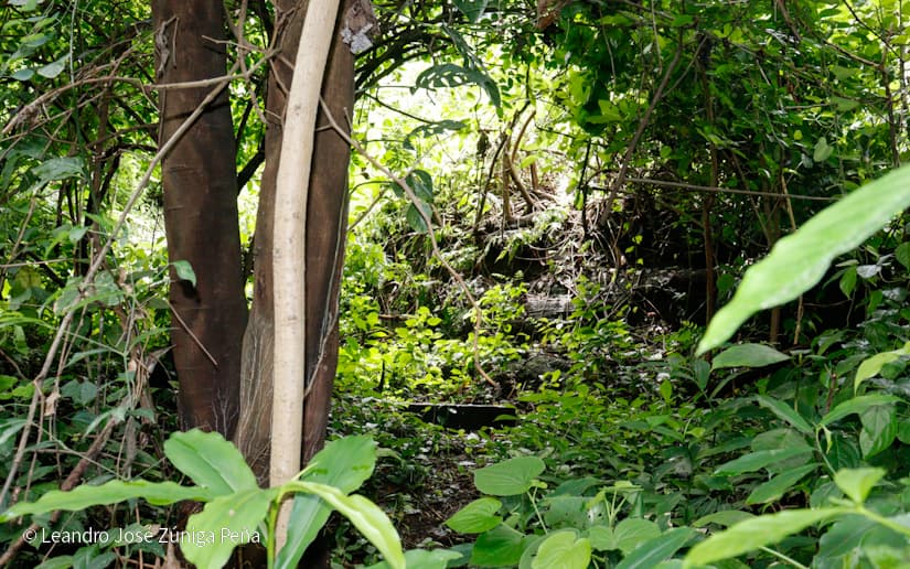 Reserva-Natural-El-Chocoyero-51