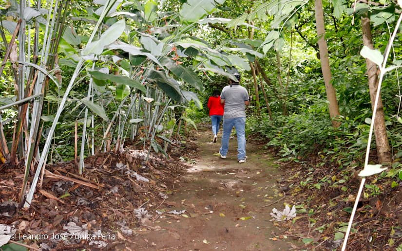 Reserva-Natural-El-Chocoyero-52