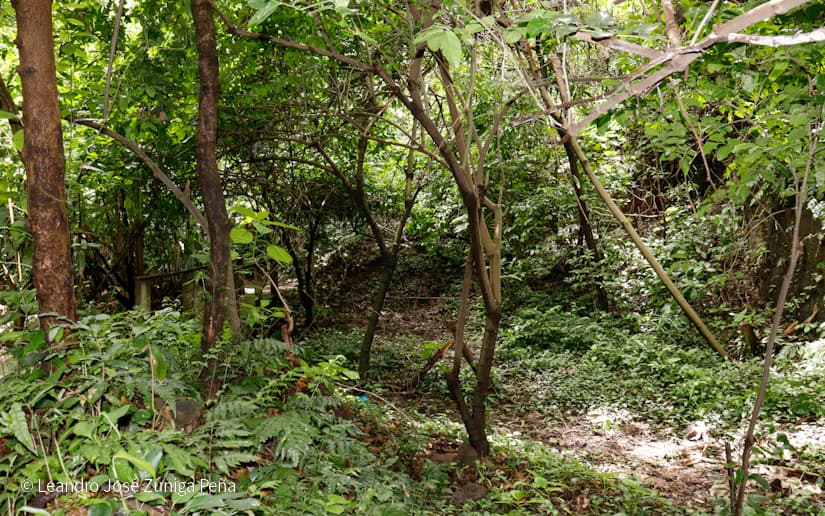 Reserva-Natural-El-Chocoyero-54