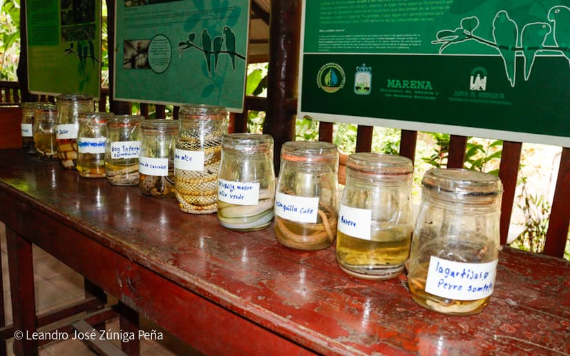 Reserva-Natural-El-Chocoyero-55