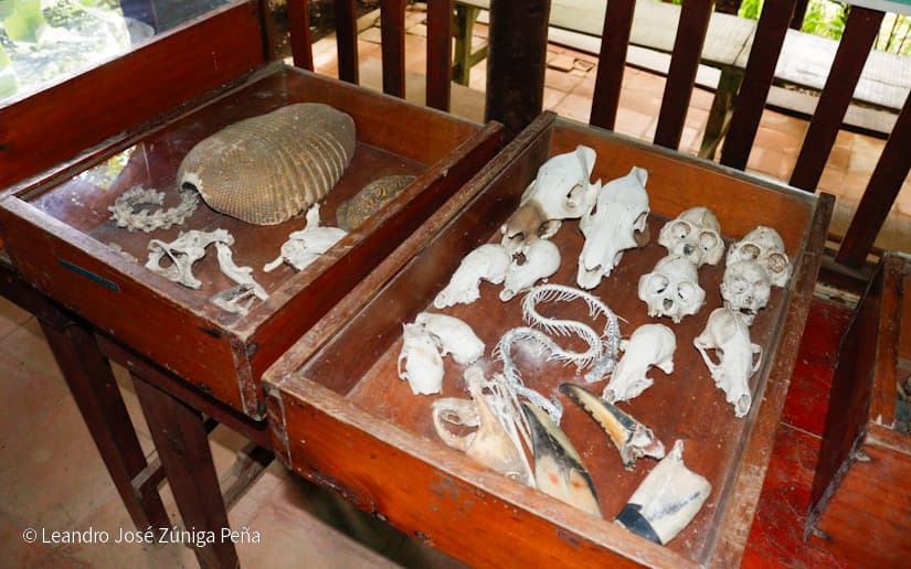 Reserva-Natural-El-Chocoyero-56