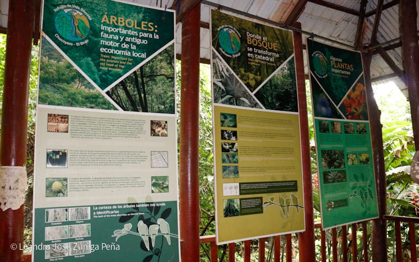 Reserva-Natural-El-Chocoyero-59