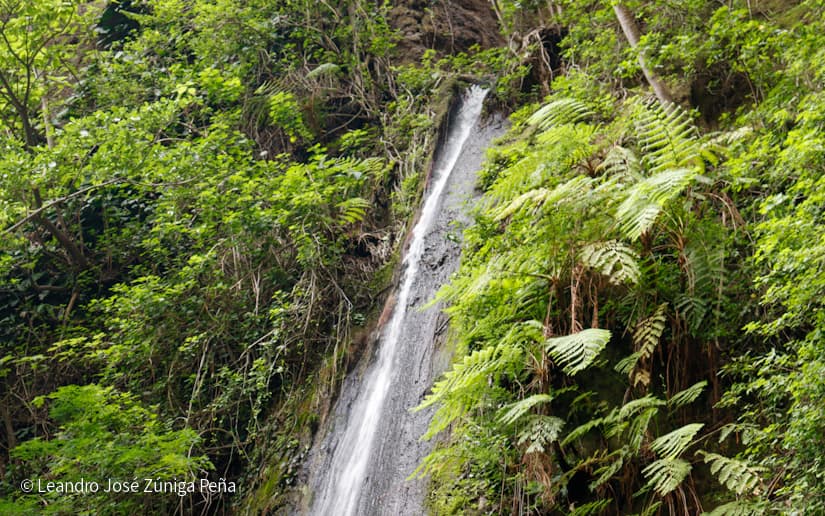 Reserva-Natural-El-Chocoyero-6