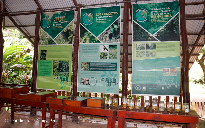 Reserva-Natural-El-Chocoyero-60