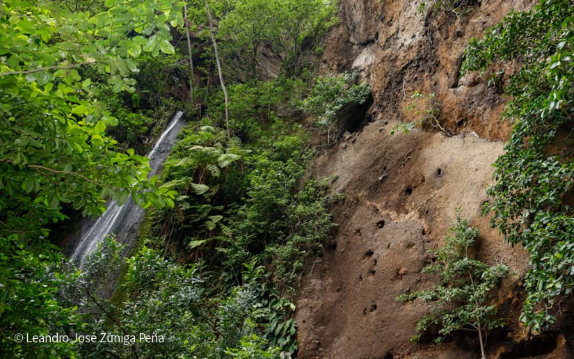Reserva-Natural-El-Chocoyero-7
