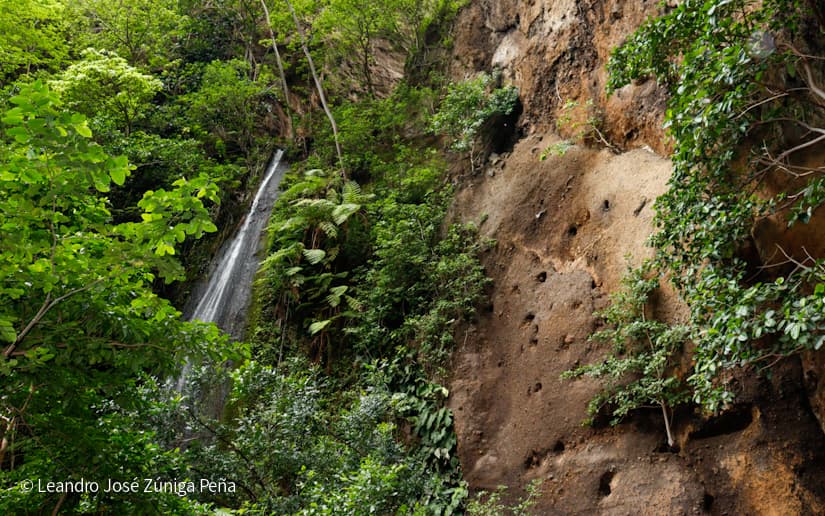 Reserva-Natural-El-Chocoyero-8