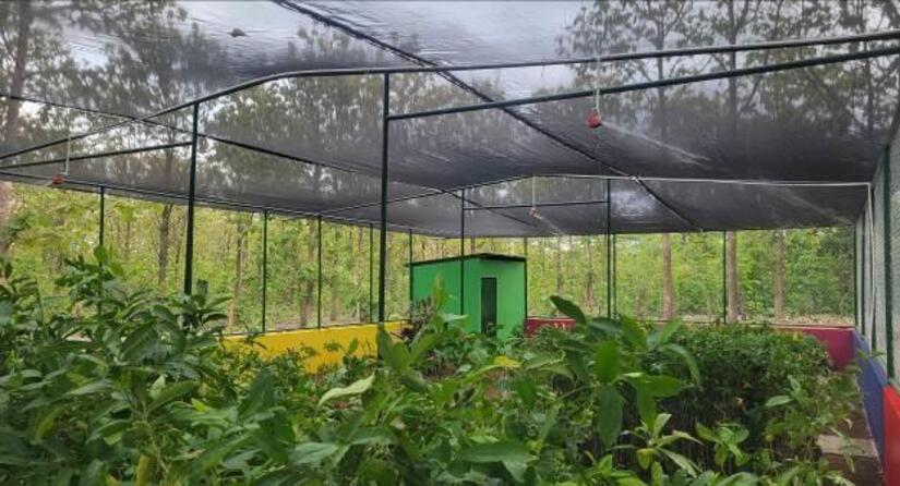 Viveros-del-Pueblo-1