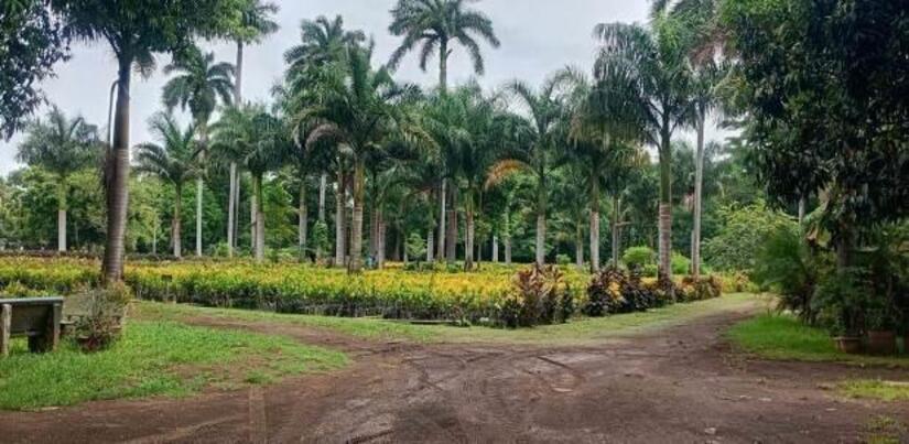 Viveros-del-Pueblo-11